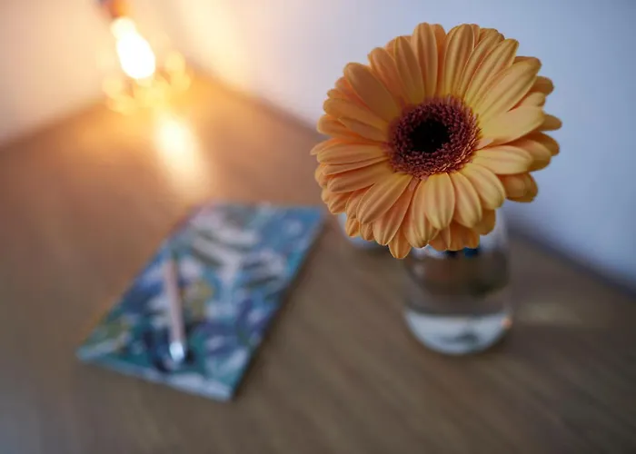 Le Bleu Nantais Lägenhet *